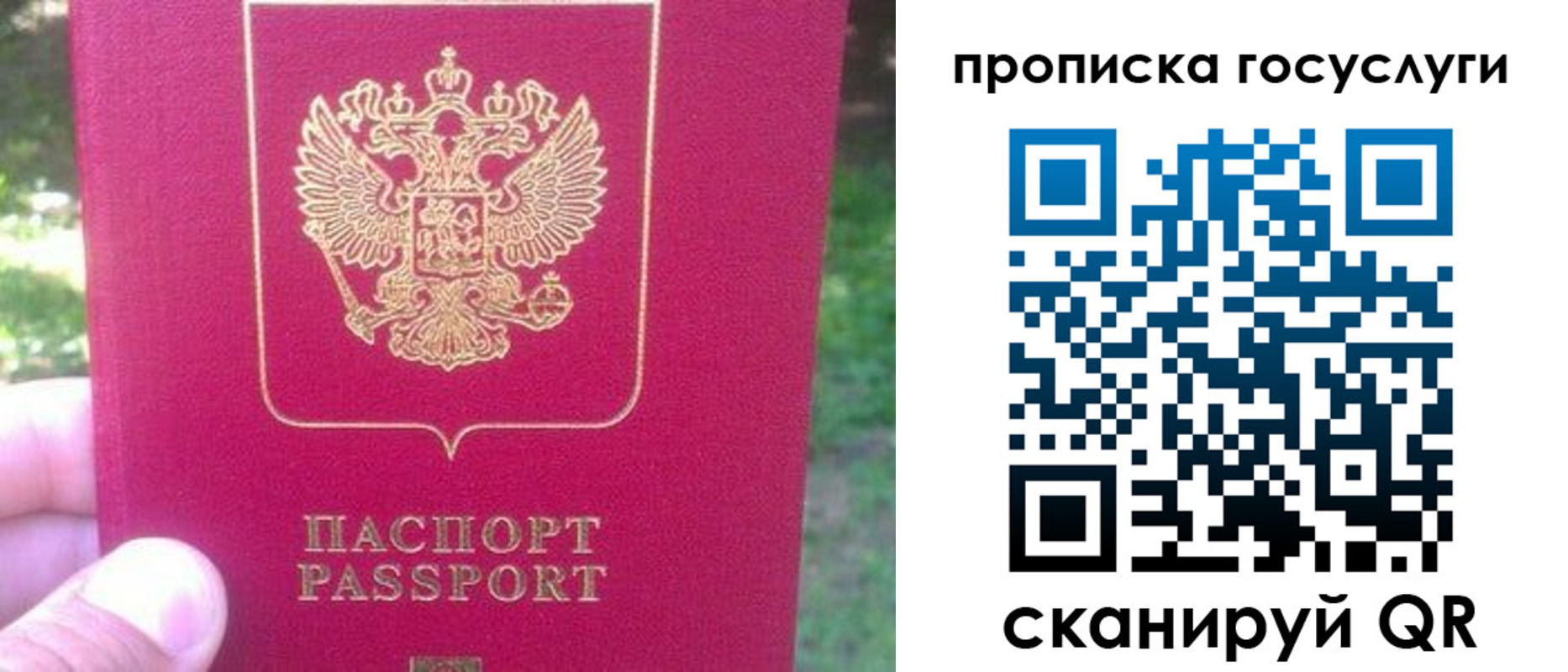 временная регистрация собственник в Александровске